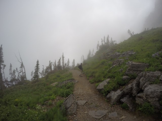 DCIM101GOPROG3651210.