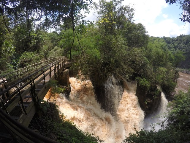 DCIM101GOPROGOPR2993.