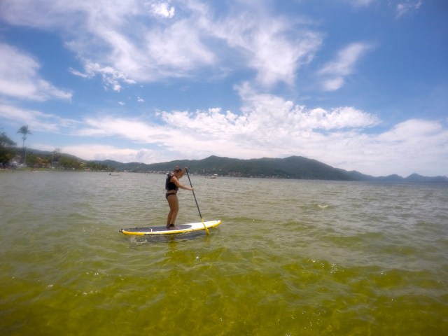 DCIM101GOPROGOPR3137.