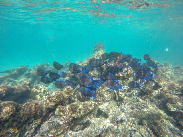 DCIM102GOPROGOPR3409.