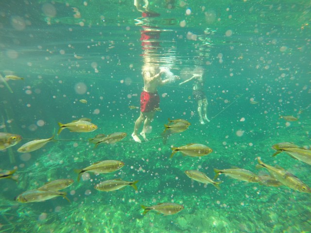 DCIM100GOPROGOPR0503.