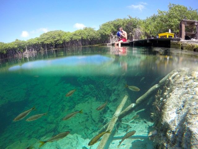 DCIM100GOPROGOPR0511.