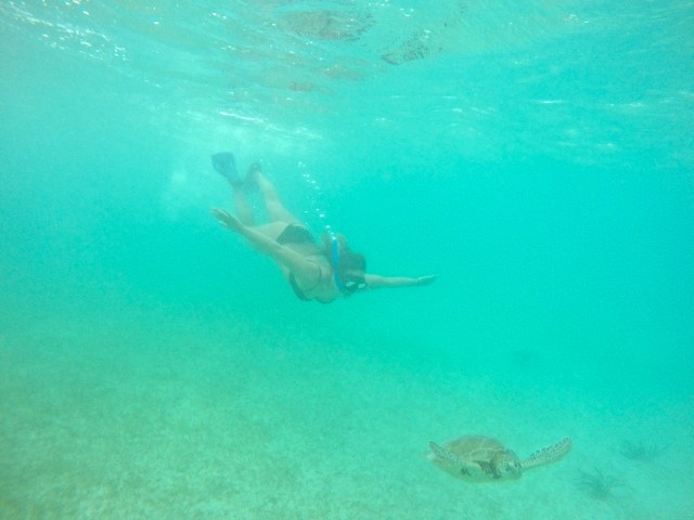 DCIM100GOPROGOPR0851.