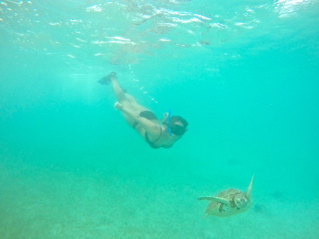 DCIM100GOPROGOPR0852.