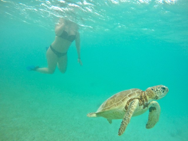 DCIM100GOPROGOPR0854.