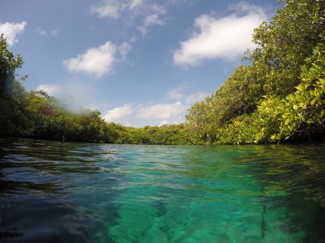 DCIM100GOPROGOPR0937.