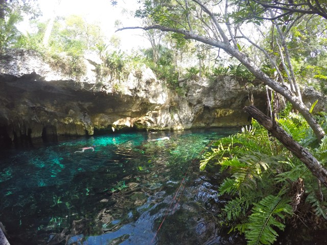 DCIM101GOPROGOPR1103.