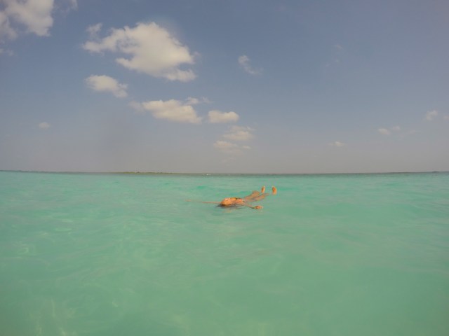 DCIM101GOPROGOPR1137.