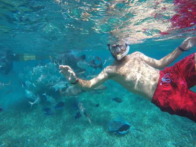 DCIM101GOPROGOPR1285.