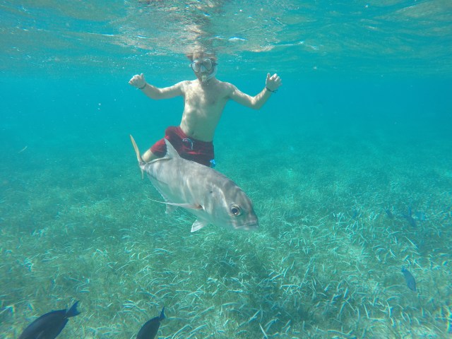 DCIM101GOPROGOPR1337.