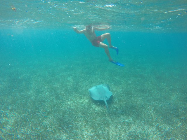 DCIM101GOPROGOPR1344.