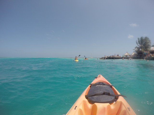 DCIM101GOPROGOPR1530.