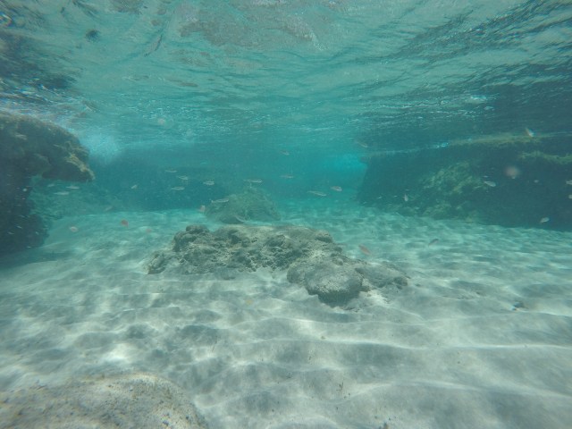 DCIM101GOPROGOPR1917.